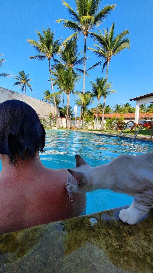 Gato Do Mato Hostel Cumbuco Exteriér fotografie